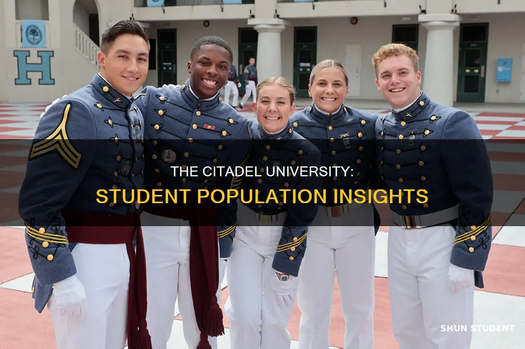 how many students at the citadel university