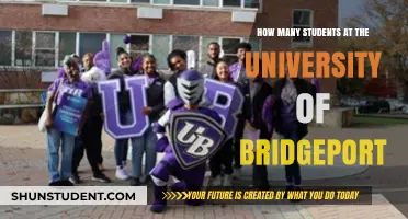 Unveiling the Student Population: University of Bridgeport's Enrolment Insights