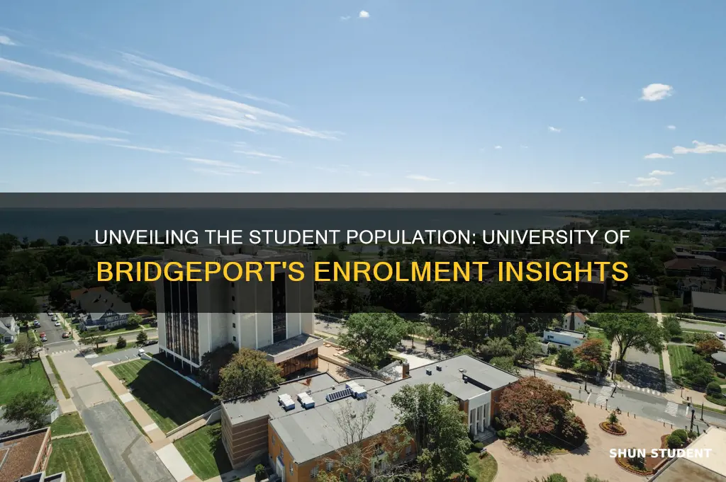 how many students at the university of bridgeport