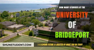 University of Bridgeport: Student Population Insights