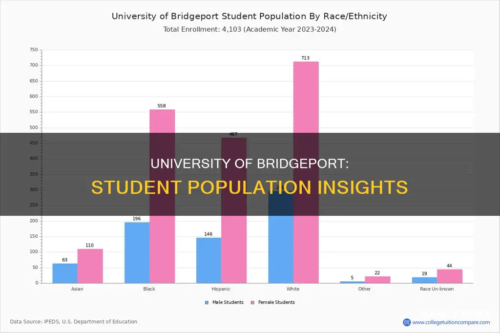 how many students at the university of bridgeport