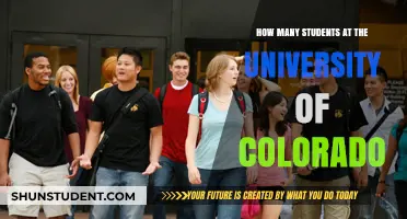 Exploring the Student Population: A Look at CU Boulder