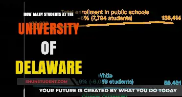 University of Delaware: Student Population Insights