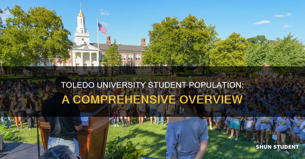 how many students at toledo university