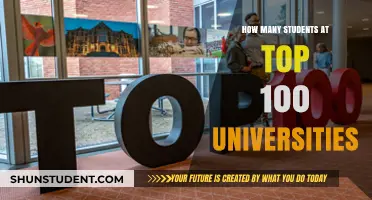 The Elite Student Experience: Unveiling the Numbers at the Top 100 Universities