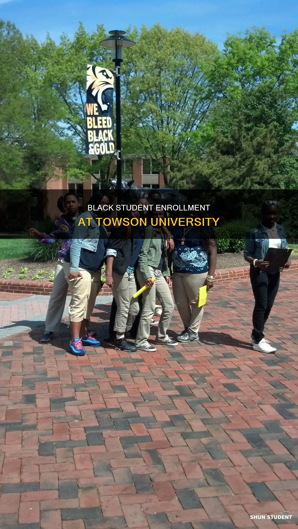 how many students at towson university are black