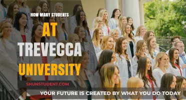 Trevecca University: Unveiling Student Population Insights