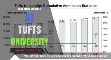 Tufts University Student Population: A Comprehensive Overview