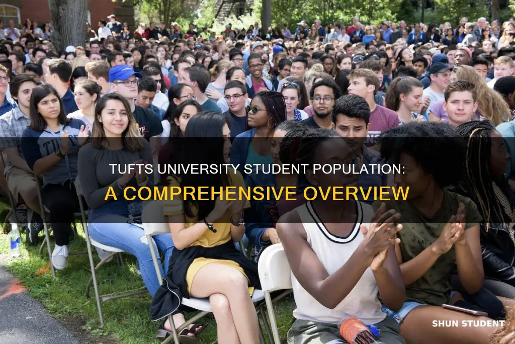how many students at tufts university