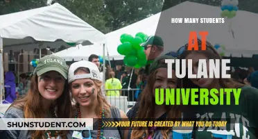 Exploring Tulane University's Student Population