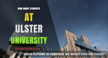 Unveiling Ulster University's Student Population: A Comprehensive Overview