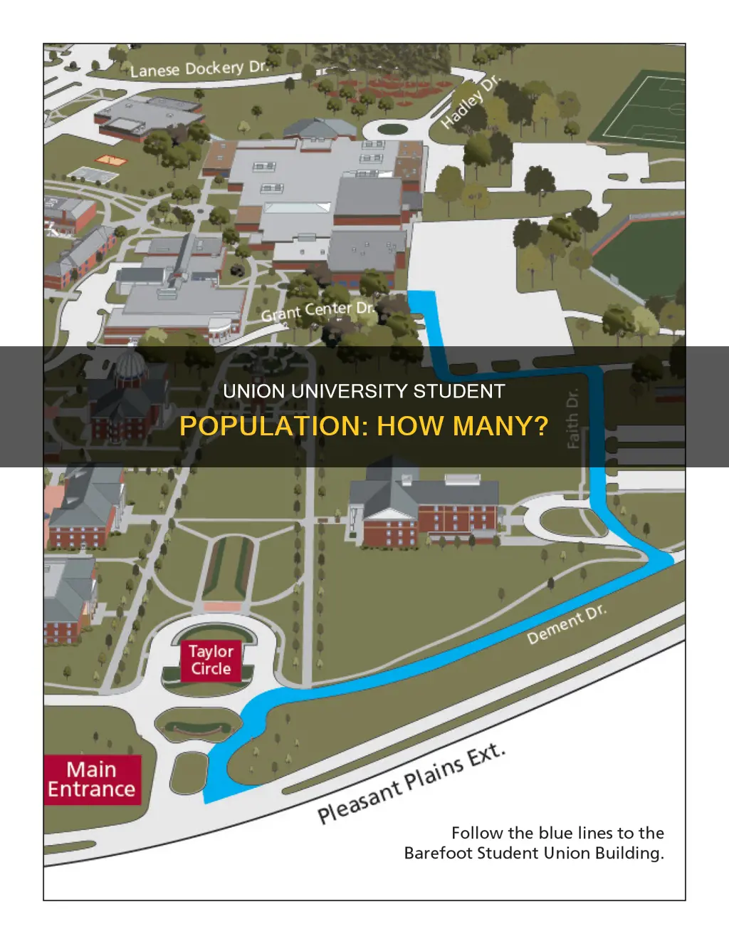 how many students at union university