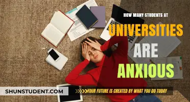 Unveiling the Hidden Struggle: University Anxiety