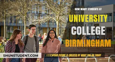 Birmingham University College: Student Population Insights