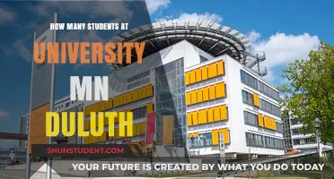 University of Minnesota Duluth: Student Population Insights
