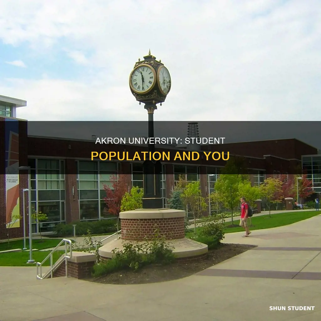 how many students at university of akron