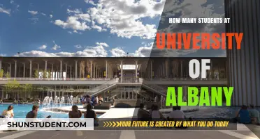 Exploring the University of Albany's Student Population