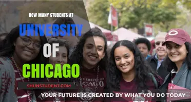 Unveiling the University of Chicago's Student Population: A Comprehensive Overview