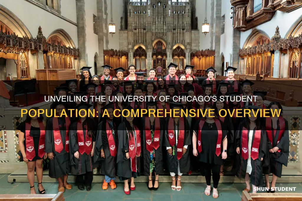 how many students at university of chicago