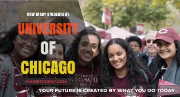 Chicago's Student Population: A Comprehensive Overview