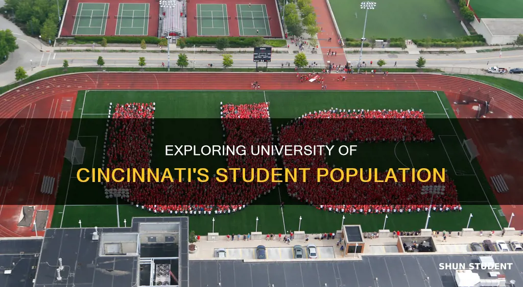how many students at university of cincinnati