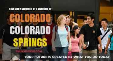 Exploring UCCS: Student Population Insights