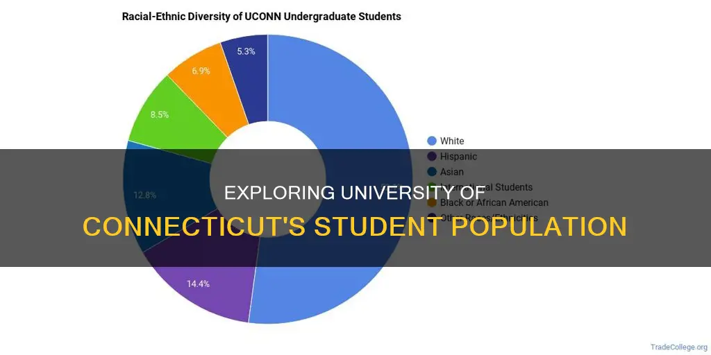 how many students at university of connecticut