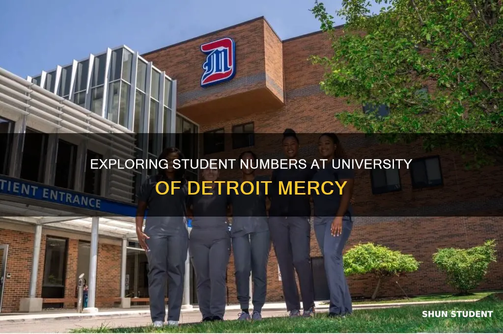 how many students at university of detroit mercy