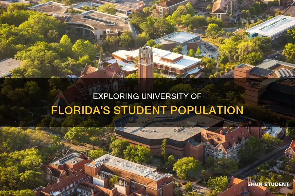 how many students at university of florida