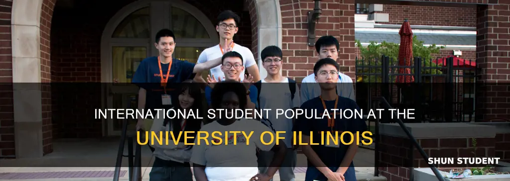 how many students at university of illinois are foreign