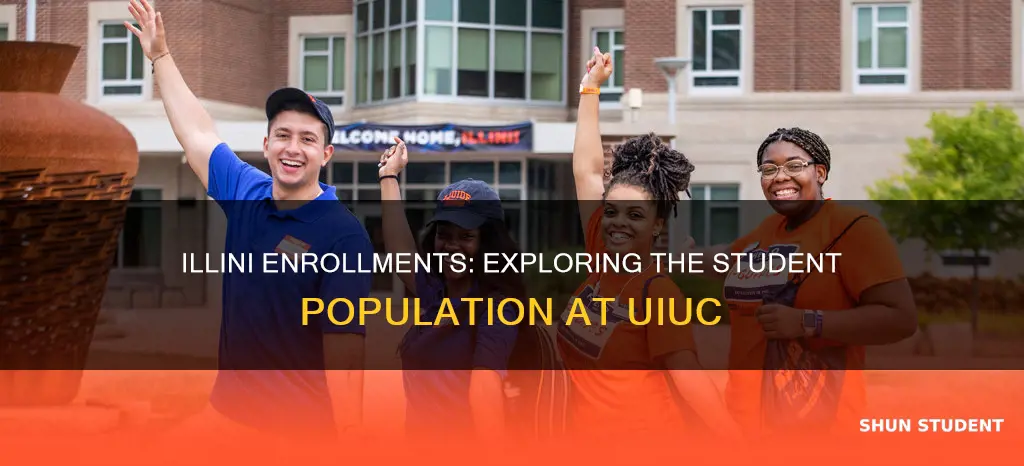 how many students at university of illinois at urbana-champaign