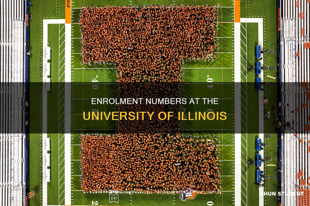 how many students at university of illinois at urbana-champaign