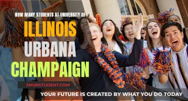 Exploring the University of Illinois: Student Population Insights