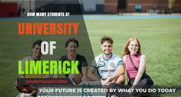 University of Limerick Student Population: An Insight