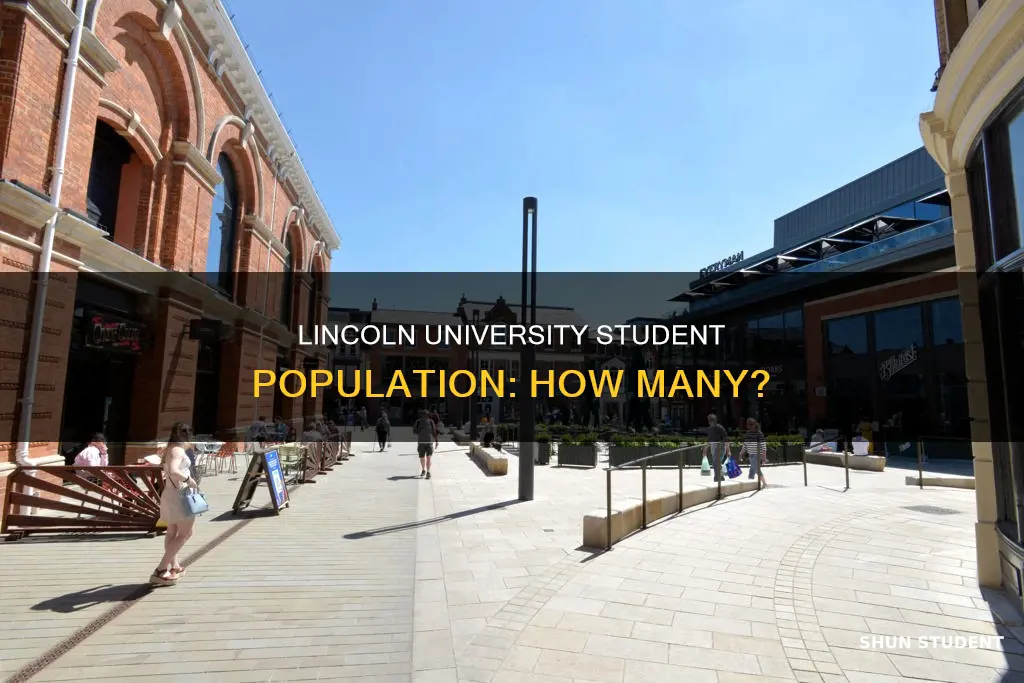 how many students at university of lincoln