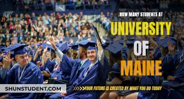 University of Maine: Student Population Insights and Trends