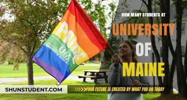 University of Maine: Student Population Insights
