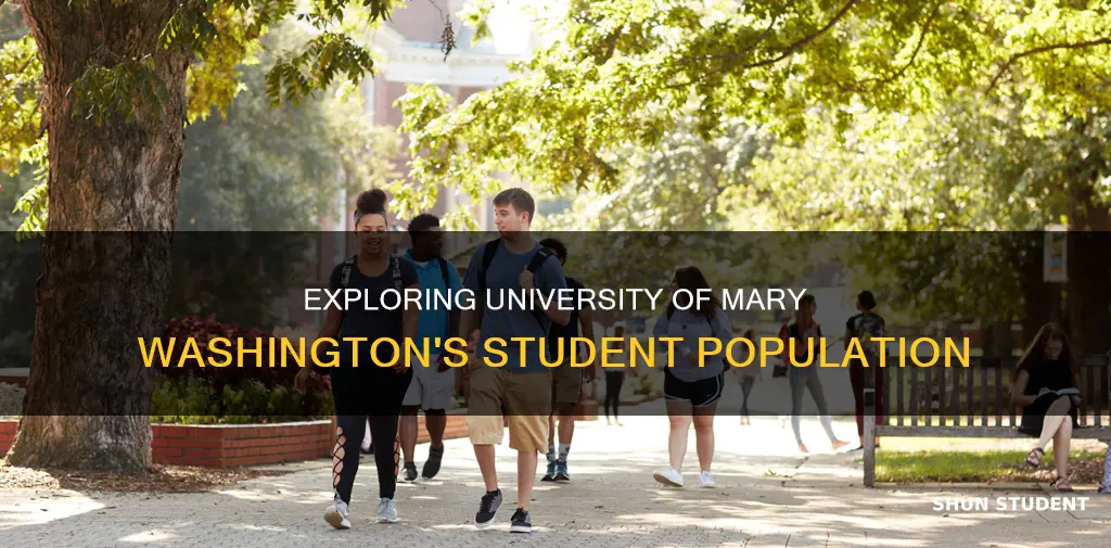 how many students at university of mary washington