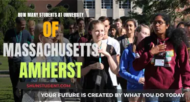 Amherst's University of Massachusetts: Student Population Insights