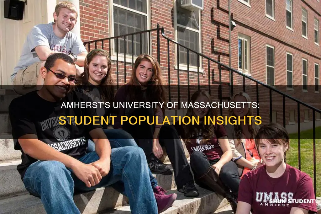 how many students at university of massachusetts amherst