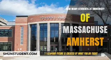 Amherst's Student Population: A Comprehensive Overview