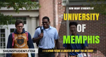 Memphis University: Student Population and You