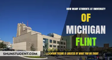 Flint's University of Michigan: Student Population Insights