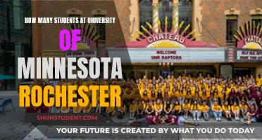 University of Minnesota Rochester: Student Population Insights