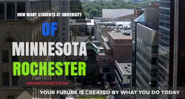 University of Minnesota Rochester: Student Population Insights