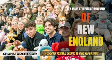 University of New England: Student Population Insights