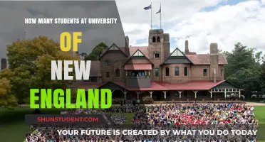 University of New England: Student Population Insights