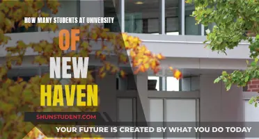 University of New Haven: Student Population Insights