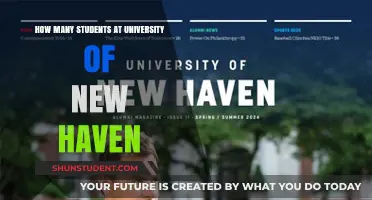 University of New Haven: Student Population Insights