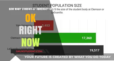 University of Ok: Current Student Population Insights